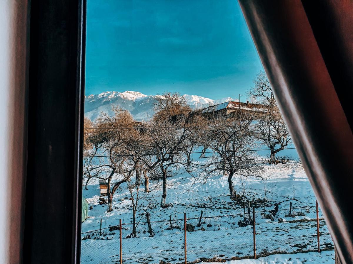 招待所 Transylvania Mountain View Cdi