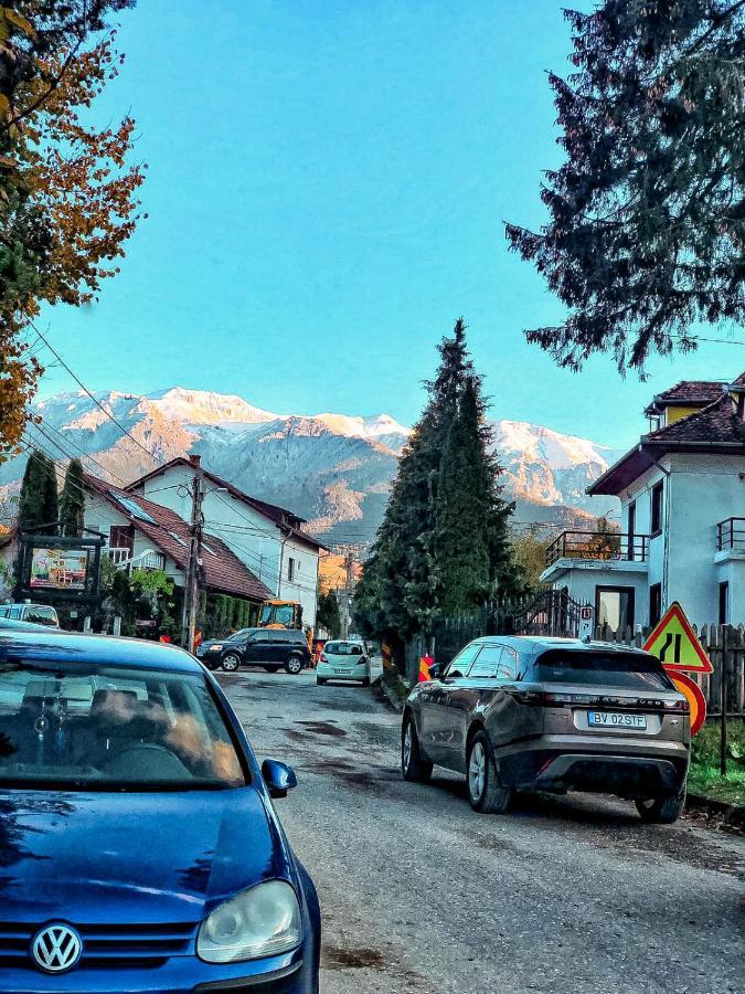 Guest house Transylvania Mountain View Cdi 3*