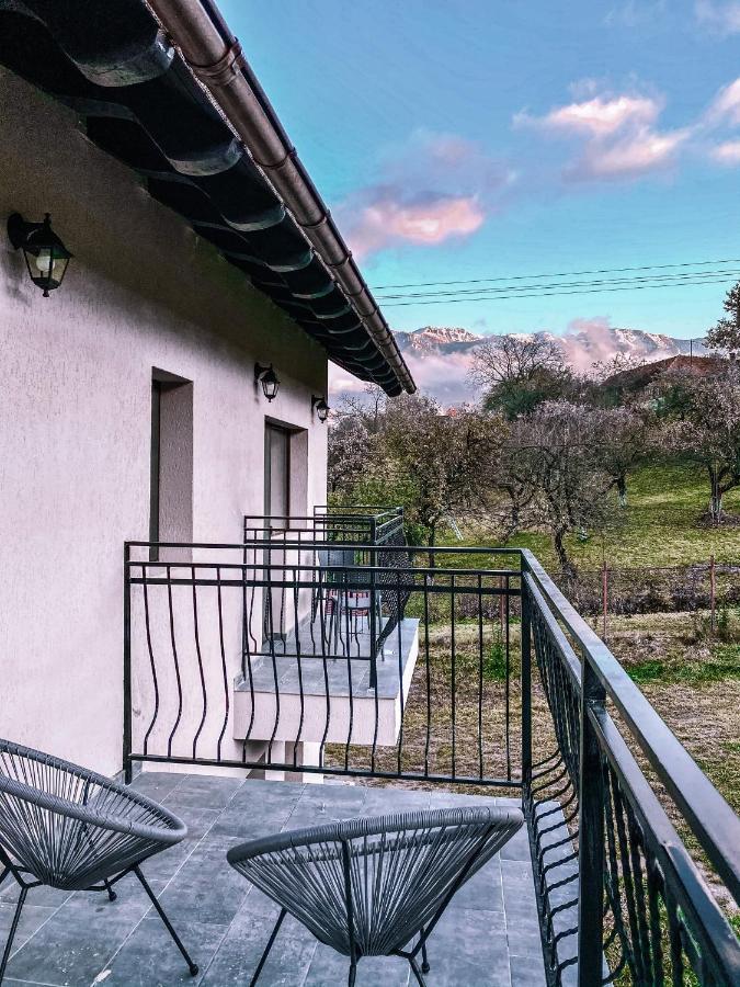 Transylvania Mountain View Cdi Guest house 3*