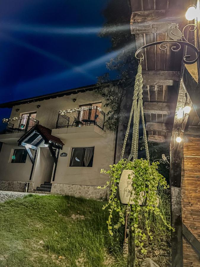 Transylvania Mountain View Cdi Bran (Brasov)