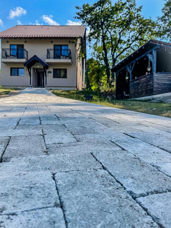 Guest house Transylvania Mountain View Cdi 3*