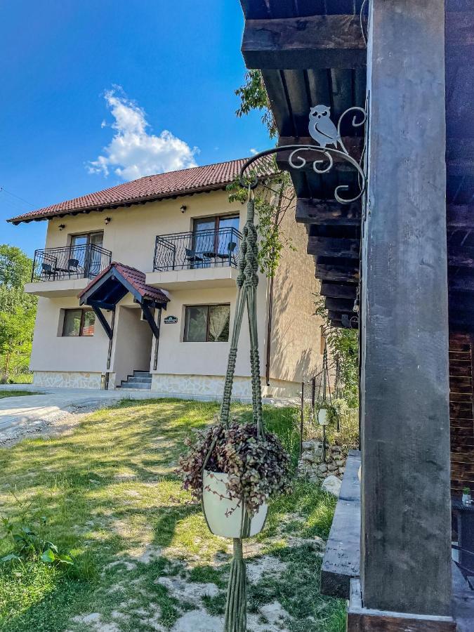 Transylvania Mountain View Cdi