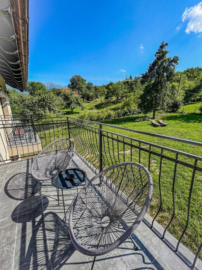 Guest house Transylvania Mountain View Cdi Bran (Brasov)