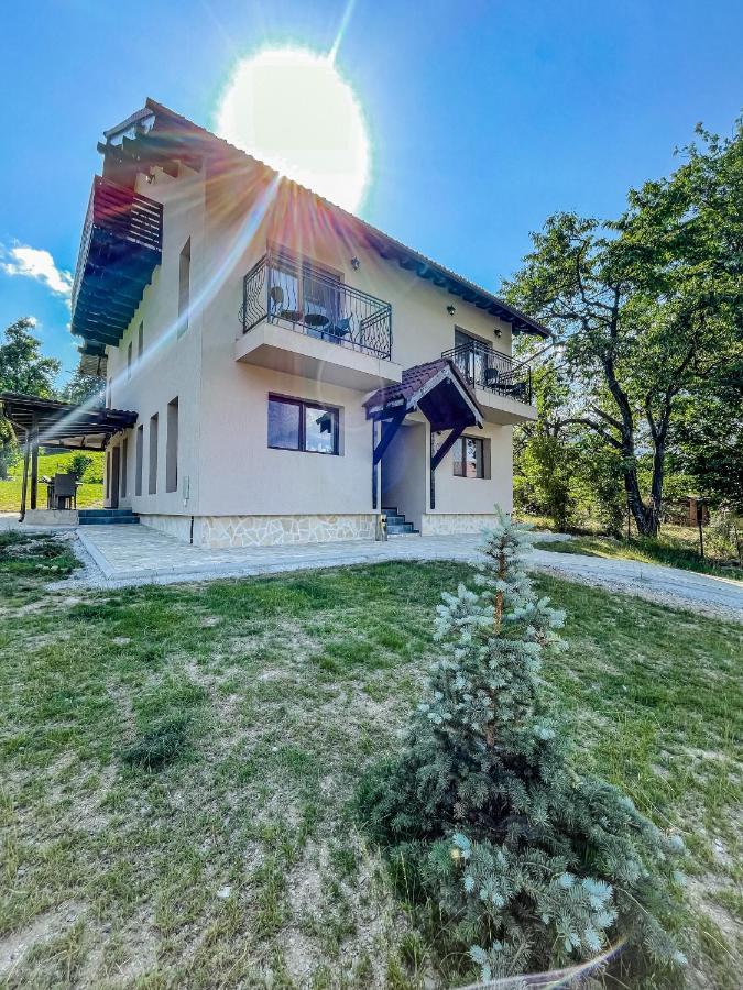 招待所 Transylvania Mountain View Cdi Bran (Brasov)